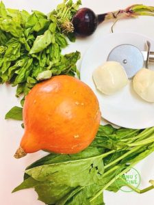 pizza hokkaido e cebola bio hokkaido und zwiebel pizza bio