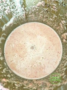 sopa fria de rabanete bio kalte radieschensuppe bio