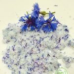 sal azul bio centaurea azul blaues Meersalz kornblume bio