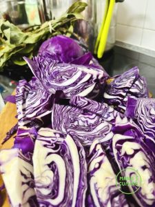 couve-roxa com uvas bio blaukraut mit weintrauben bio
